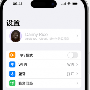 提蒙乡appleID维修服务iPhone设置中Apple ID显示为灰色无法使用