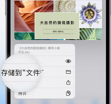 提蒙乡apple维修中心分享iPhone文件应用中存储和找到下载文件