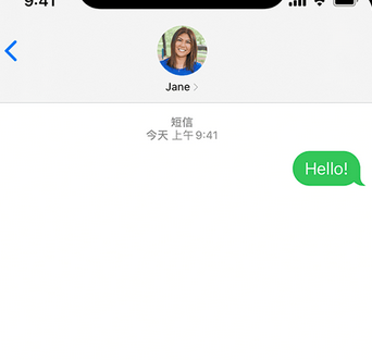 提蒙乡apple维修iPhone上无法正常发送iMessage信息