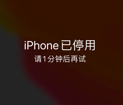 提蒙乡苹果手机维修分享:iPhone 显示“不可用”或“已停用”怎么办？还能保留数据吗？ 