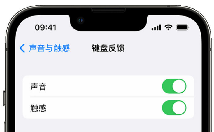 提蒙乡苹果手机维修分享iPhone 14触感键盘使用方法 