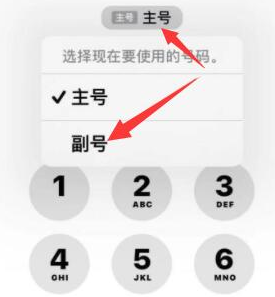 提蒙乡苹果14维修店分享iPhone 14 Pro Max使用副卡打电话的方法 