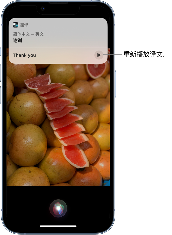 提蒙乡苹果14维修分享 iPhone 14 机型中使用 Siri：了解 Siri 能帮你做什么 