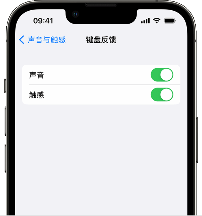 提蒙乡苹果14维修分享iPhone 14 系列机型如何开启键盘声音或触感反馈 