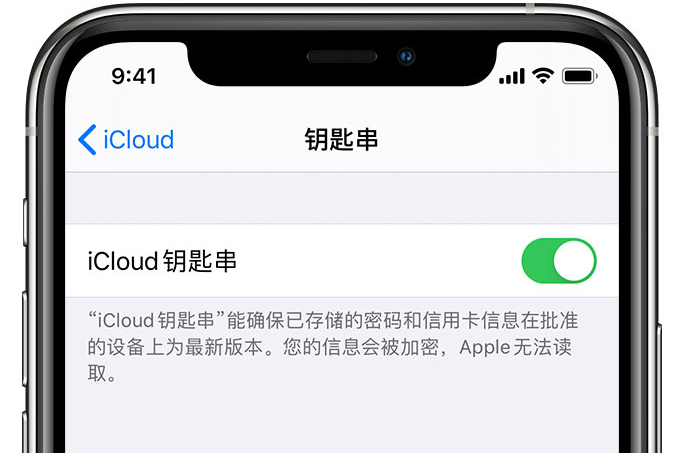 提蒙乡苹果手机维修分享在 iPhone 上开启 iCloud 钥匙串之后会储存哪些信息 