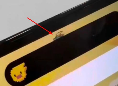 提蒙乡苹果14维修分享iPhone 14 Pro Max灵动岛怎么养宠物 
