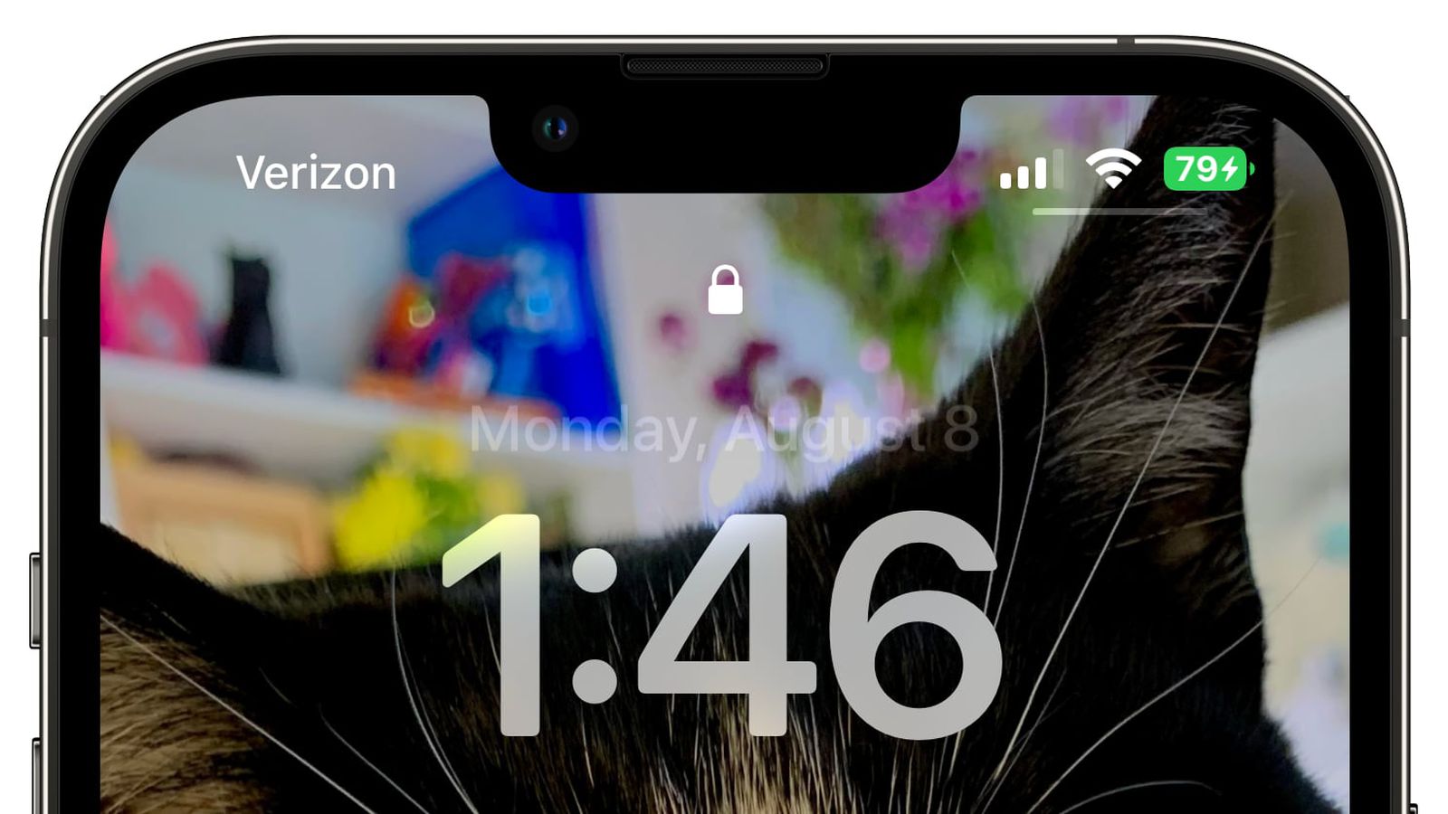 提蒙乡苹果手机维修分享iOS 16 beta 5 支持状态栏显示电池百分比，如何开启？支持哪些机型 