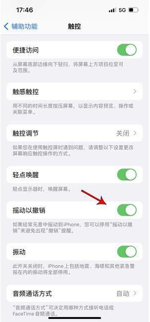 提蒙乡苹果手机维修分享iPhone手机如何设置摇一摇删除文字 