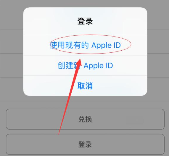 提蒙乡苹果手机维修分享两台iPhone设备可以同时登录一个Apple ID吗 