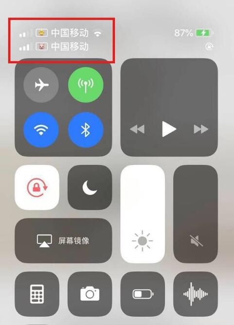 提蒙乡苹果手机维修分享为 iPhone 12 双卡设置标签 