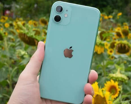 提蒙乡苹果维修点分享iPhone 11锁屏密码认知与使用科普 
