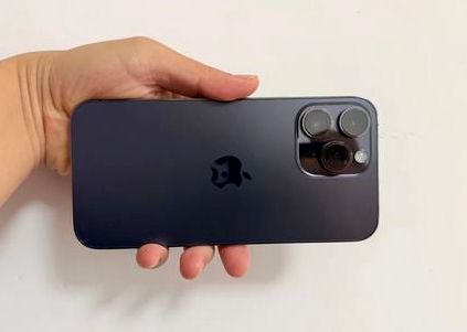 提蒙乡苹果维修点分享iPhone 14 Pro Max黑屏少见故障盘点 